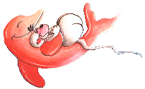 diddl 3 (dauphin)